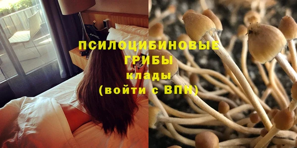 мдма Бронницы